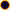 ellipse 13