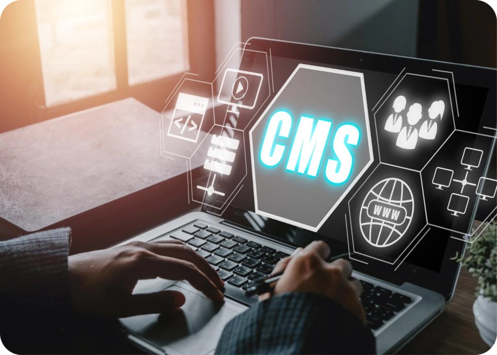 CMS Websites